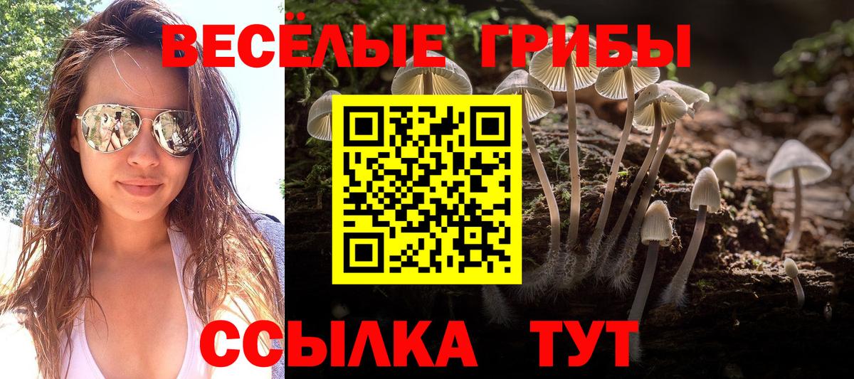 Псилоцибиновые грибы ЛСД  Вход с VPN  Муром 