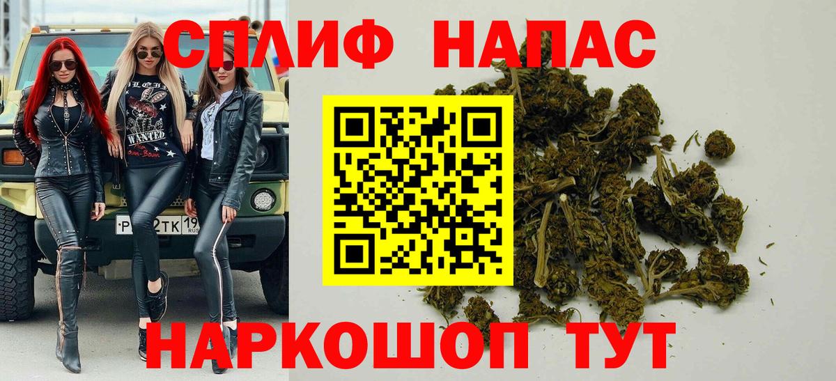Бошки Шишки семена Муром